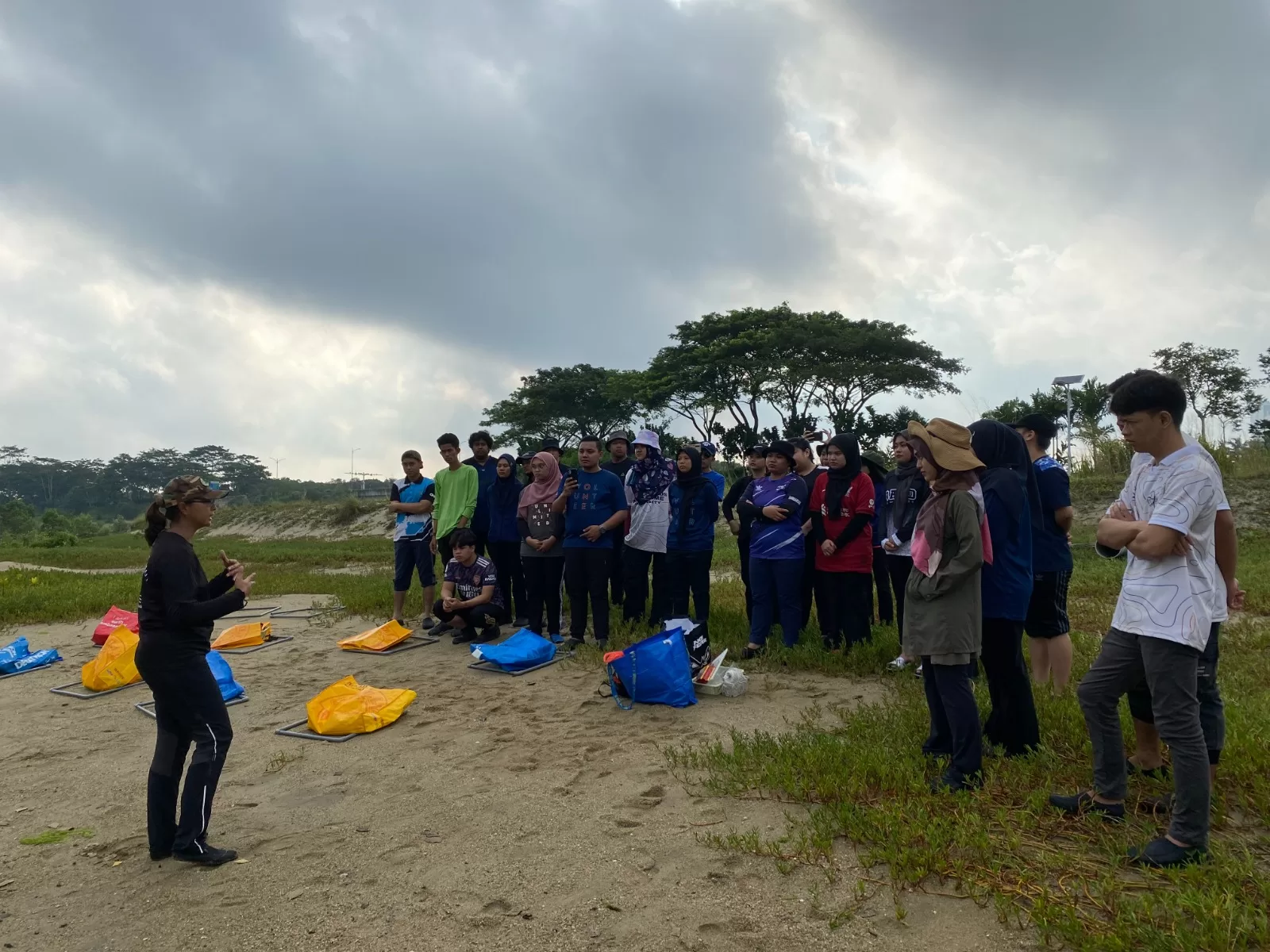 Planting Mangrove trees Forest City