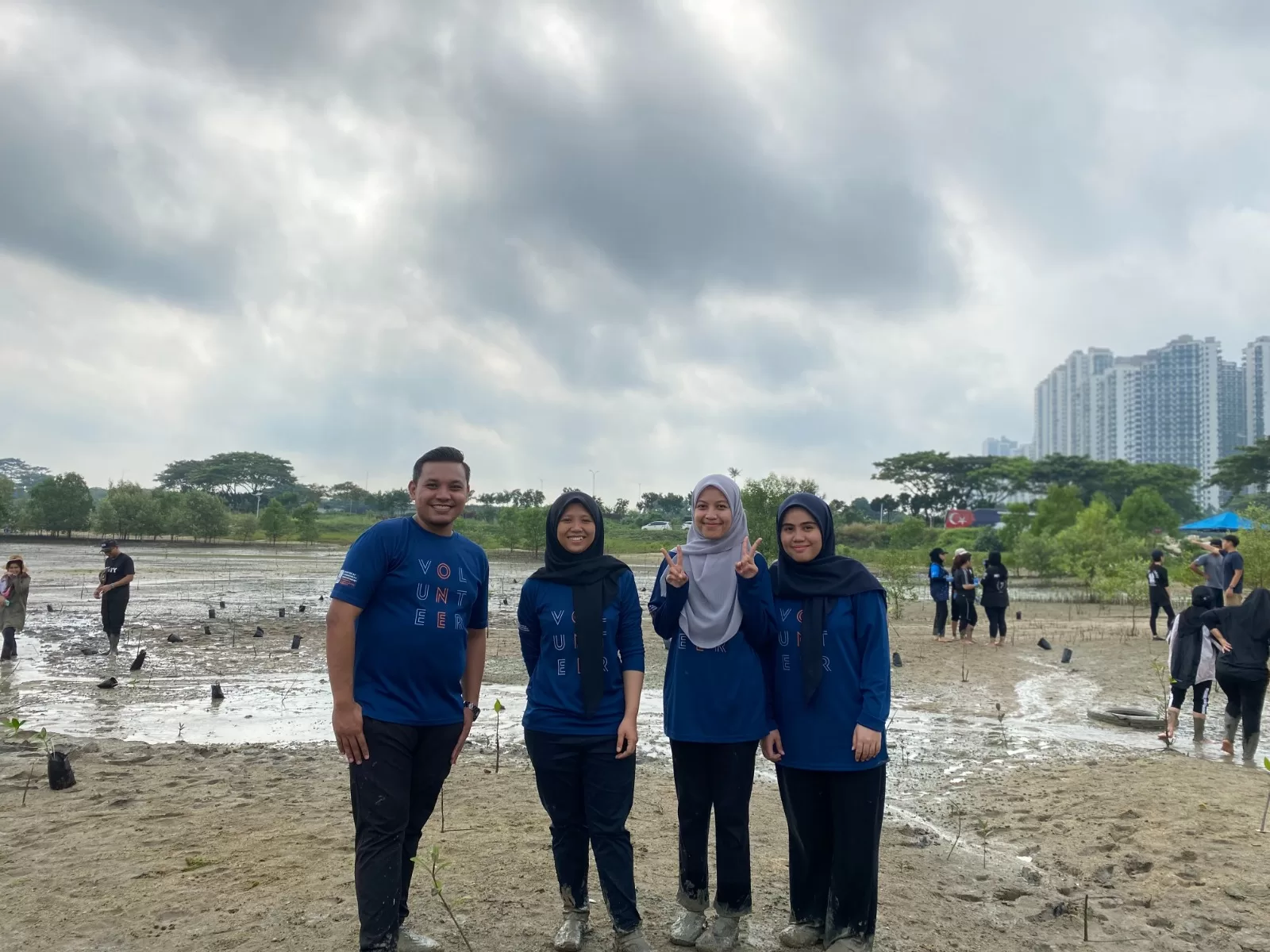 Planting Mangrove trees Forest City