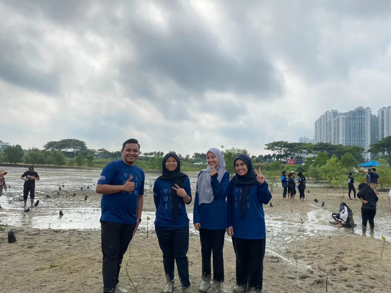 Planting Mangrove trees Forest City